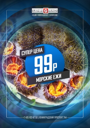 МОРСКИЕ ЕЖИ ПО СУПЕРЦЕНЕ МОРСКИЕ ЕЖИ ПО СУПЕРЦЕНЕ